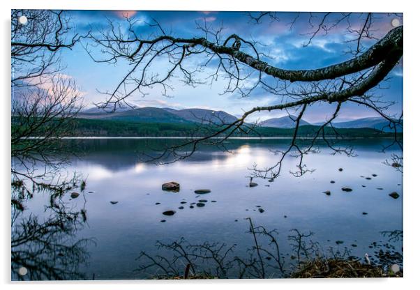Loch Morlich Acrylic by Duncan Loraine