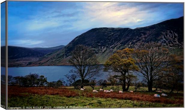 "Cool Blue Crummock " Canvas Print by ROS RIDLEY
