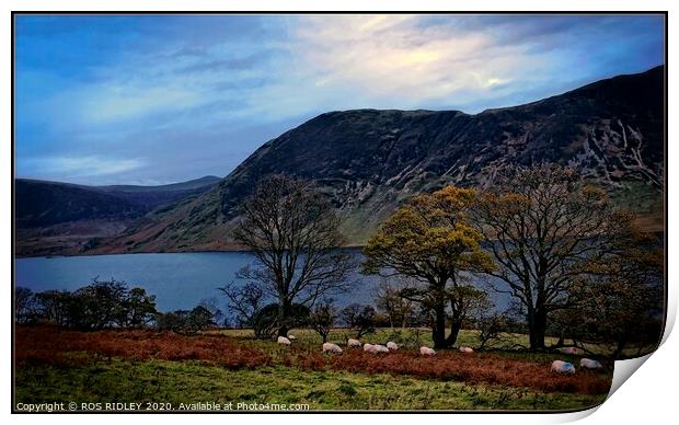 "Cool Blue Crummock " Print by ROS RIDLEY