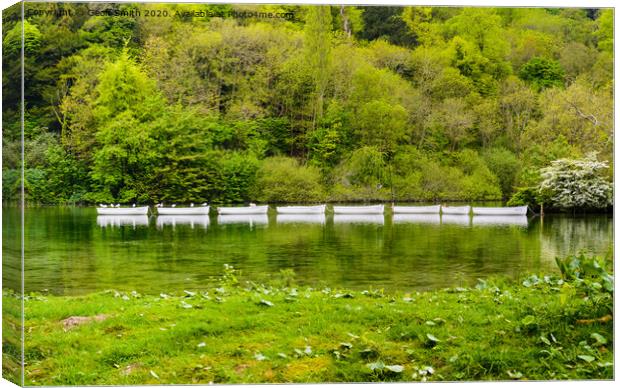 Swanbourne Lake in Arundel Canvas Print by Geoff Smith