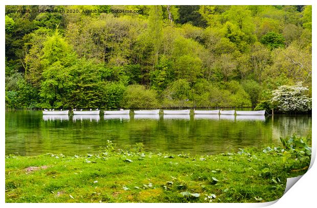 Swanbourne Lake in Arundel Print by Geoff Smith