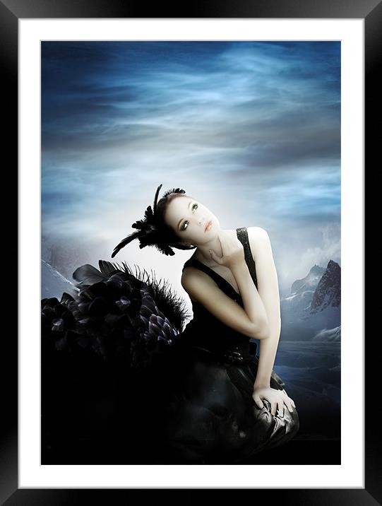 The Black Swan Framed Mounted Print by Julie Hoddinott