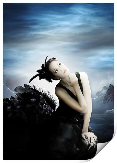 The Black Swan Print by Julie Hoddinott
