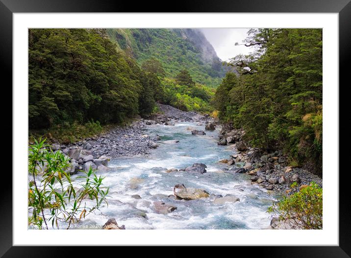 Creek - Fiordland National Park Framed Mounted Print by Laszlo Konya