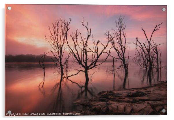 Misty Moogerah Sunrise Acrylic by Julie Hartwig