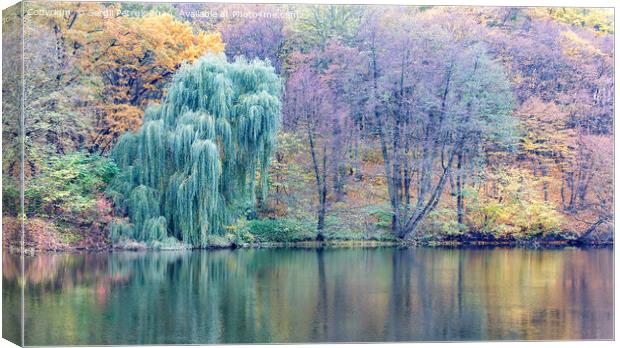 Pastel colors of autumn park and forest lake. Canvas Print by Sergii Petruk