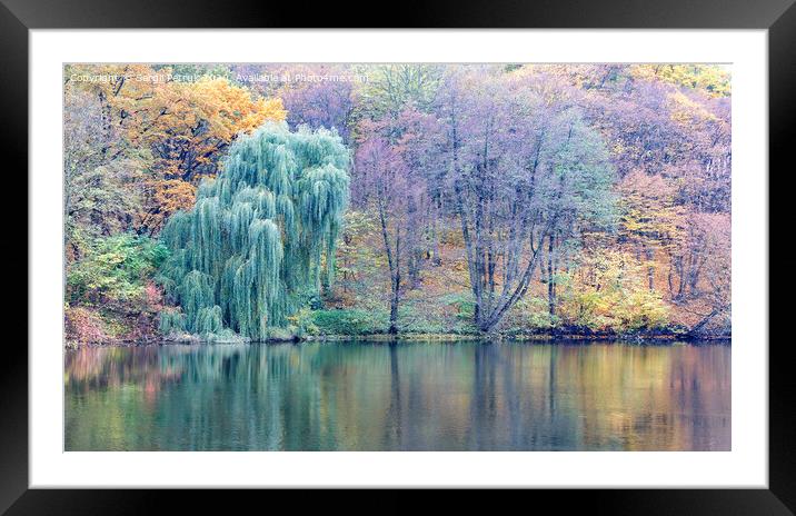 Pastel colors of autumn park and forest lake. Framed Mounted Print by Sergii Petruk