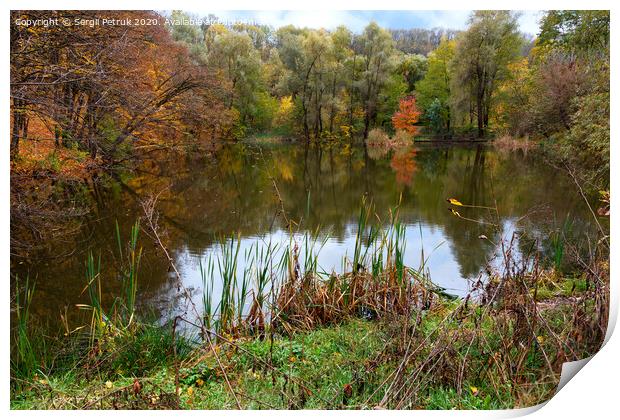 Landscape of autumn forest lake with blue sky reflection in water. Print by Sergii Petruk