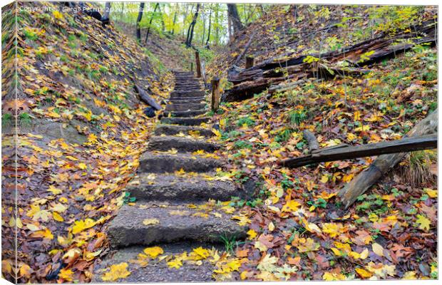 Old stone staircase on a hillside in the autumn forest. Canvas Print by Sergii Petruk