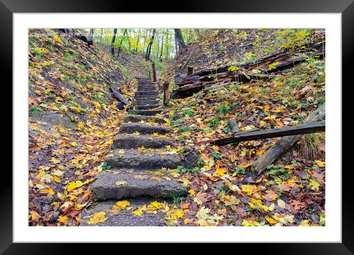Old stone staircase on a hillside in the autumn forest. Framed Mounted Print by Sergii Petruk
