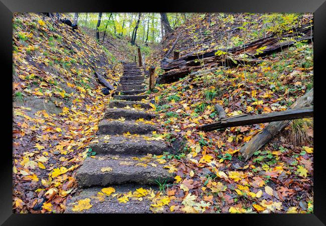 Old stone staircase on a hillside in the autumn forest. Framed Print by Sergii Petruk