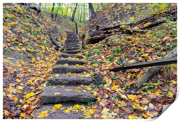 Old stone staircase on a hillside in the autumn forest. Print by Sergii Petruk