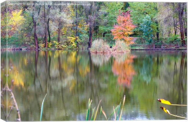Landscape of an autumn forest lake with the reflection of colorful trees in the water. Canvas Print by Sergii Petruk