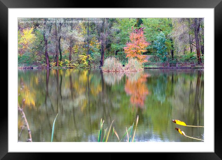 Landscape of an autumn forest lake with the reflection of colorful trees in the water. Framed Mounted Print by Sergii Petruk