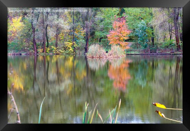 Landscape of an autumn forest lake with the reflection of colorful trees in the water. Framed Print by Sergii Petruk