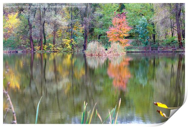 Landscape of an autumn forest lake with the reflection of colorful trees in the water. Print by Sergii Petruk