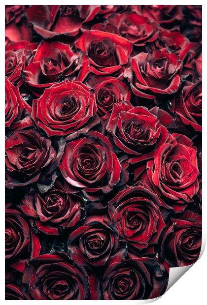 Red Roses Print by Steffen Gierok-Latniak