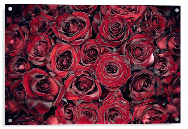Red Roses Acrylic by Steffen Gierok-Latniak
