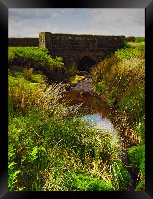 Hambleden Dyke Bridge Framed Print by Steven Watson