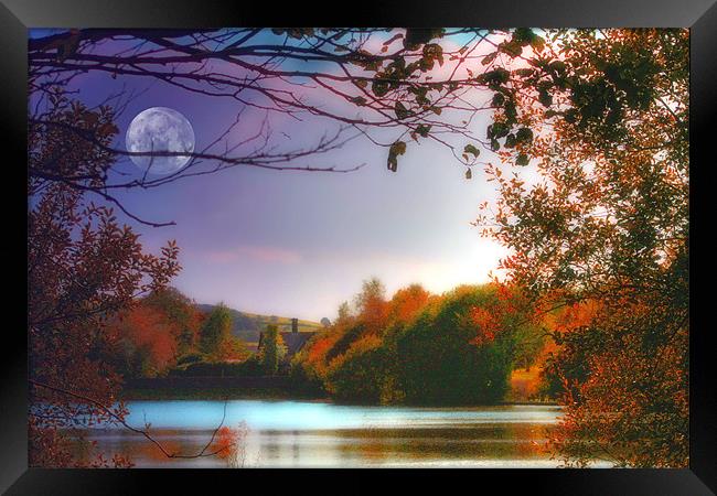 Moonglow Framed Print by Julie Hoddinott