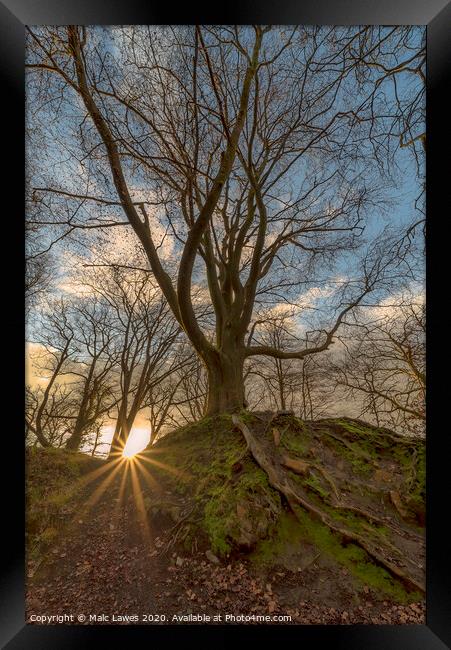 A walk in the park. Framed Print by Malc Lawes