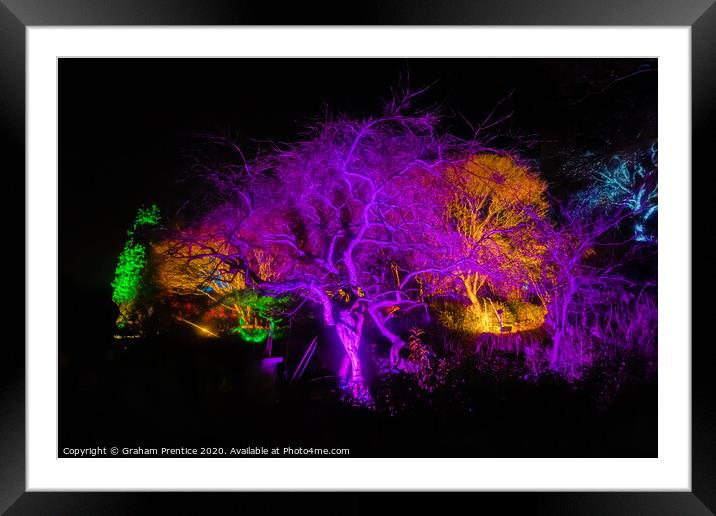 Glow 2020 at RHS Wisley Garden Framed Mounted Print by Graham Prentice