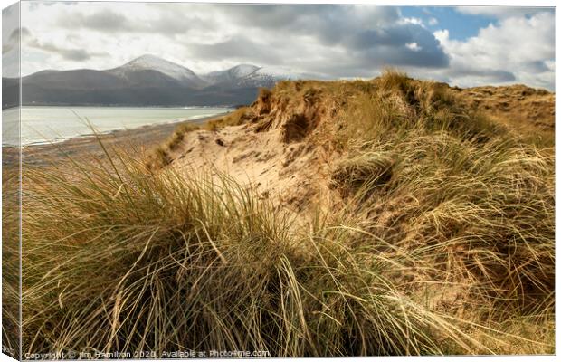 Murlough beach and Sand dunes Canvas Print by jim Hamilton