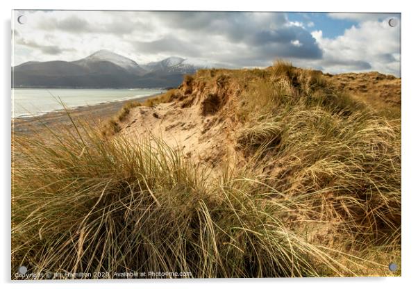 Murlough beach and Sand dunes Acrylic by jim Hamilton