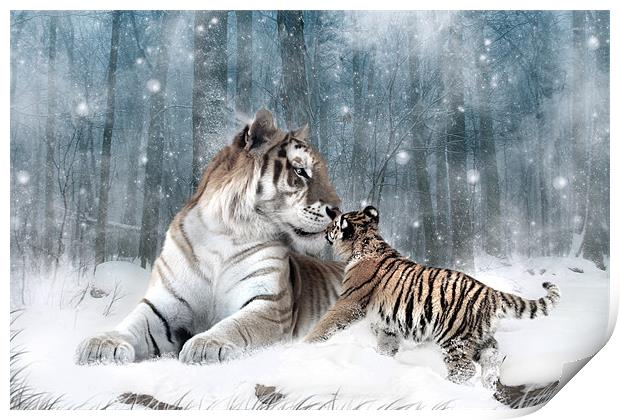 Kaiser Katrina and the Kiss Tiger Canvas Print Print by Julie Hoddinott