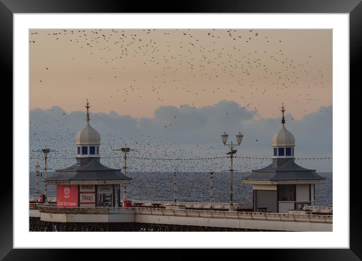 Blackpool North Pier Starlings  Framed Mounted Print by Caroline James