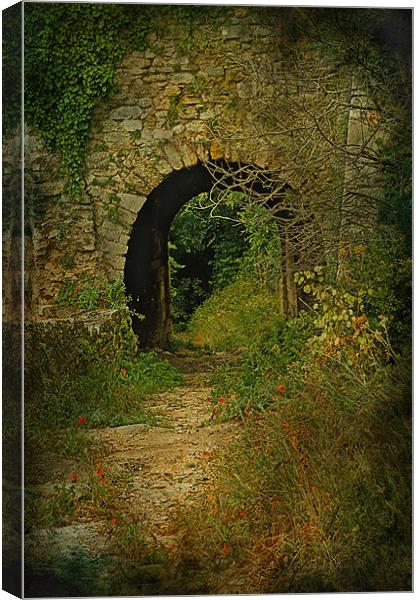Take The Path Through The Arch Canvas Print by Jacqi Elmslie