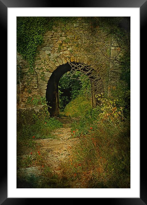 Take The Path Through The Arch Framed Mounted Print by Jacqi Elmslie