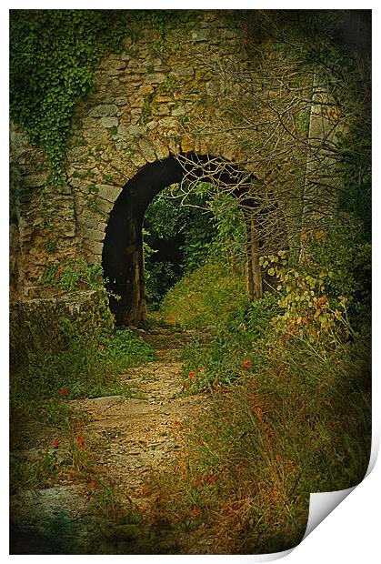Take The Path Through The Arch Print by Jacqi Elmslie