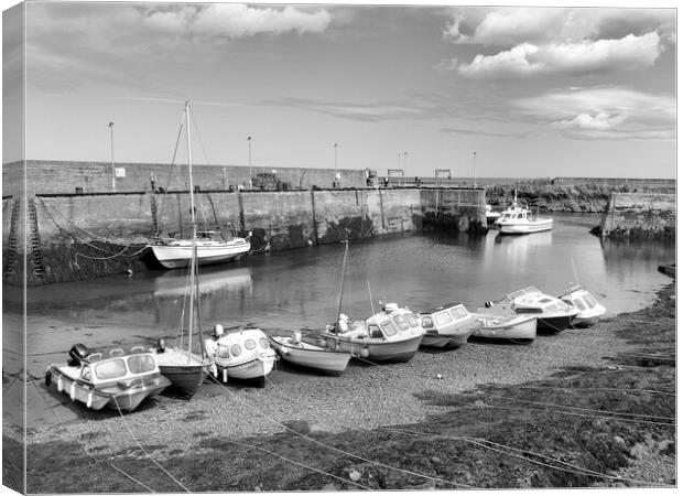 St. Abbs Harbour in black and white Canvas Print by Naylor's Photography