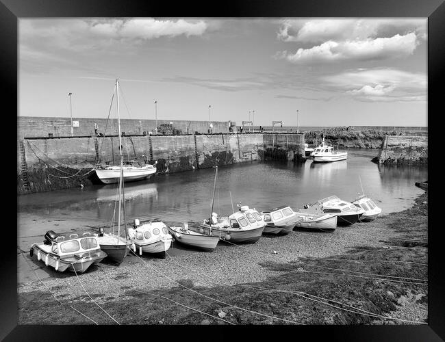 St. Abbs Harbour in black and white Framed Print by Naylor's Photography