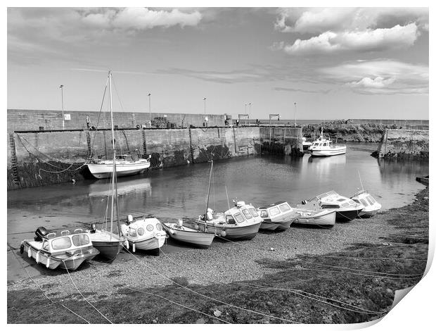 St. Abbs Harbour in black and white Print by Naylor's Photography