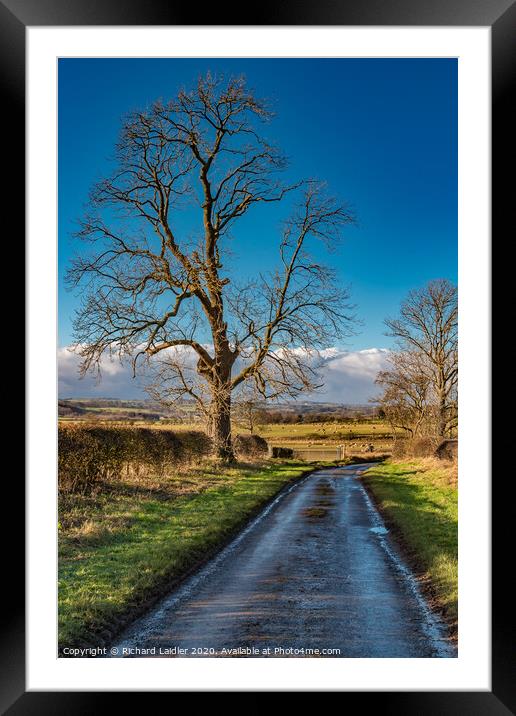 Lane to Van Farm in Winter Sunshine Framed Mounted Print by Richard Laidler