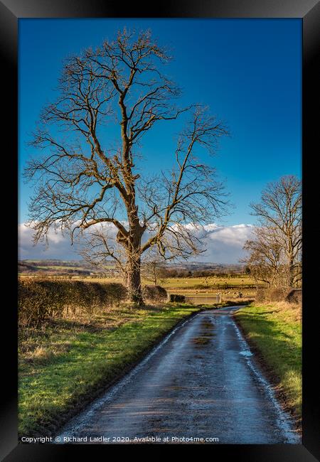 Lane to Van Farm in Winter Sunshine Framed Print by Richard Laidler