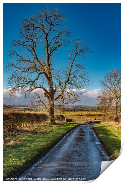 Lane to Van Farm in Winter Sunshine Print by Richard Laidler