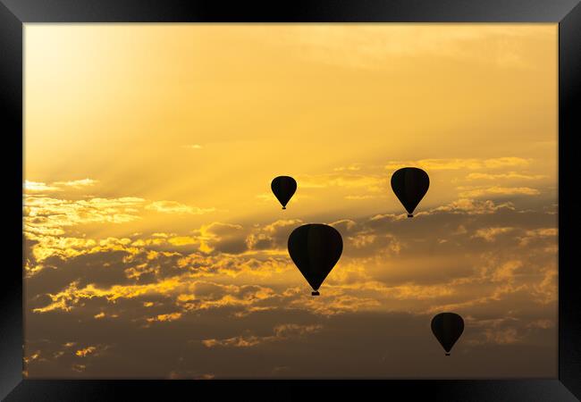 some hot air balloons in the sky with orange sunrise clouds Framed Print by David Galindo