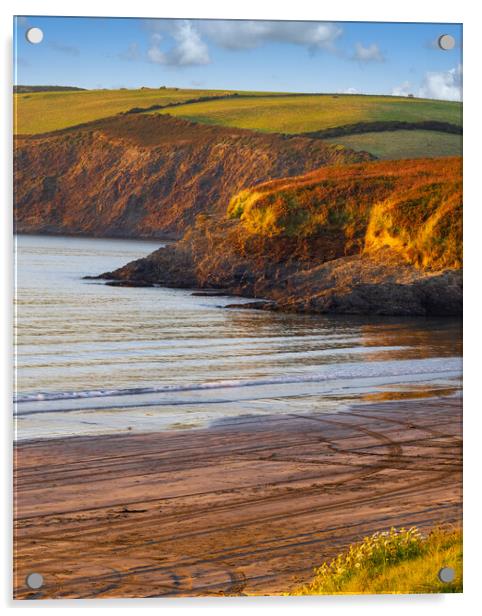 Newport Beach Evening, Pembrokeshire, Wales, UK Acrylic by Mark Llewellyn