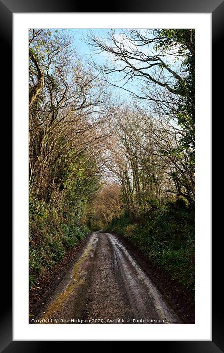 Muddy lane, Leedstown, West Cornwall Framed Mounted Print by Rika Hodgson
