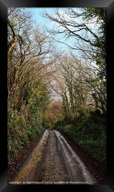 Muddy lane, Leedstown, West Cornwall Framed Print by Rika Hodgson