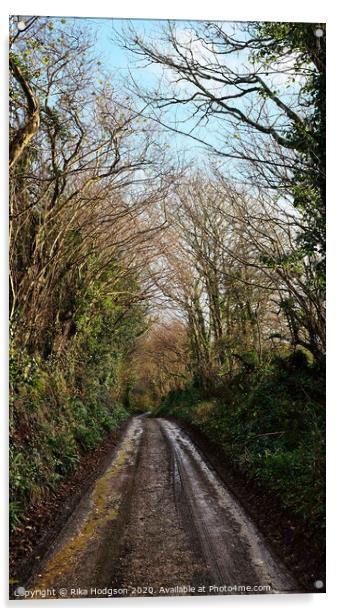 Muddy lane, Leedstown, West Cornwall Acrylic by Rika Hodgson