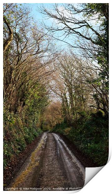 Muddy lane, Leedstown, West Cornwall Print by Rika Hodgson
