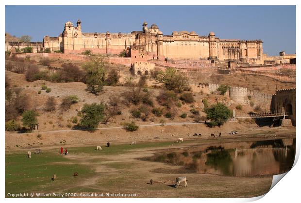 Amber Fort Jaipur India Water Reflection Print by William Perry