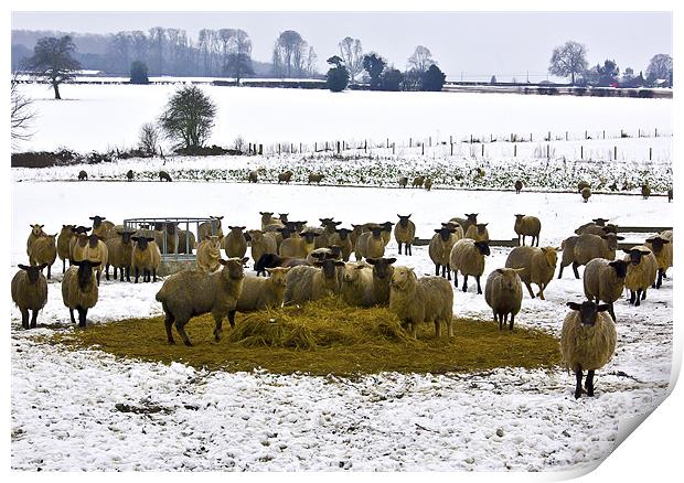 A Winters Day in the Countryside Print by Trevor Kersley RIP