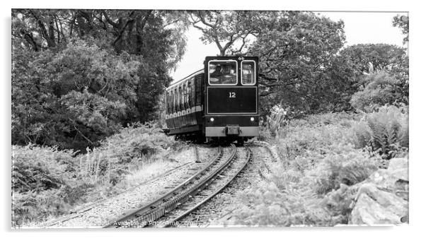 Mount Snowdon Railway, Llanberis, North Wales. A diesel train ca Acrylic by Chris Yaxley