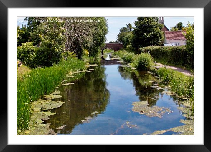 The canal at Taunton Somerset Framed Mounted Print by Sheila Ramsey