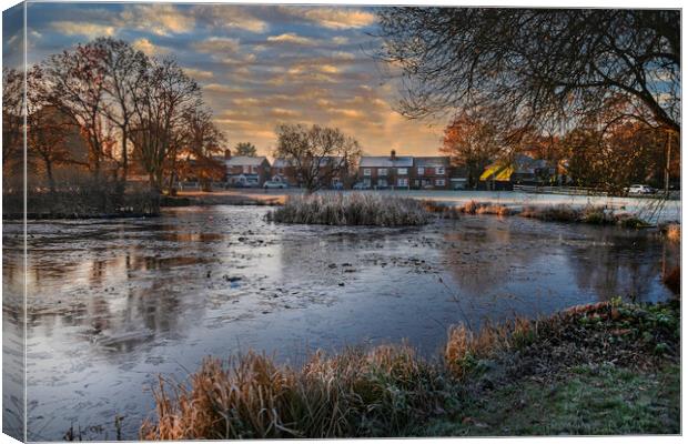 A Cold Winters Day in Yateley Canvas Print by Dave Williams